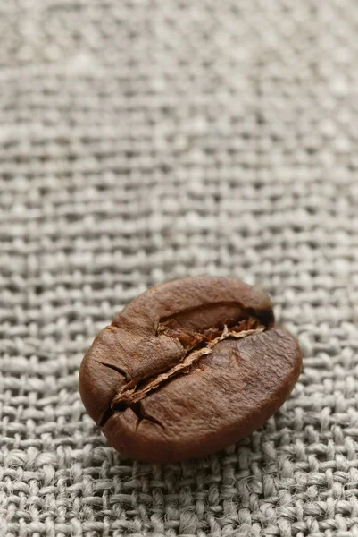 Кофейная фасоль — стоковое фото
