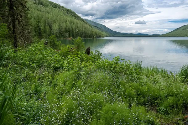 Mountain landscape — Stock Photo, Image