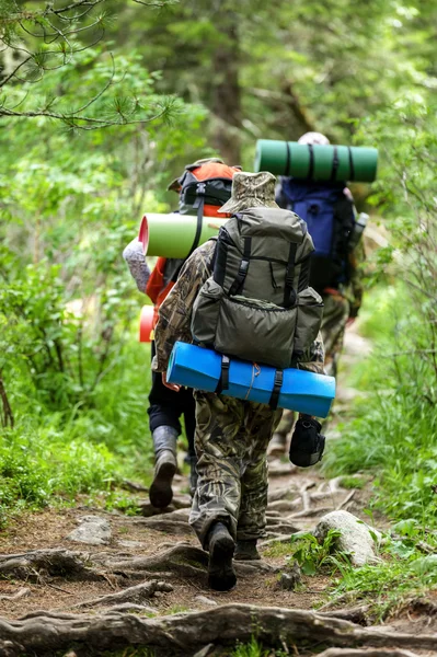 Viajeros en bosque otoñal —  Fotos de Stock