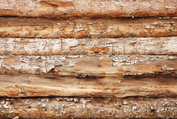 Background from round logs — Stock Photo, Image