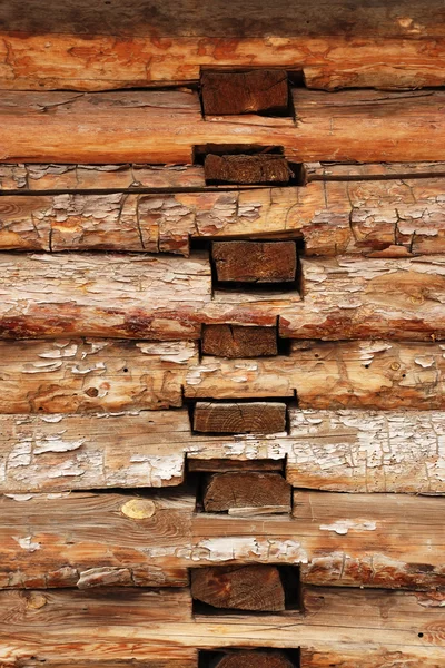 Background from round logs — Stock Photo, Image