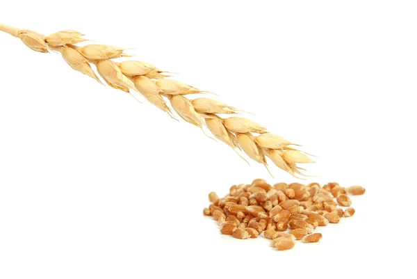 耳と穀物 — ストック写真