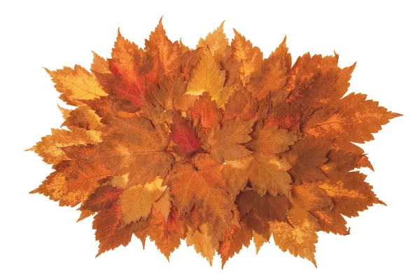 Background from autumn leaves — Stock Photo, Image