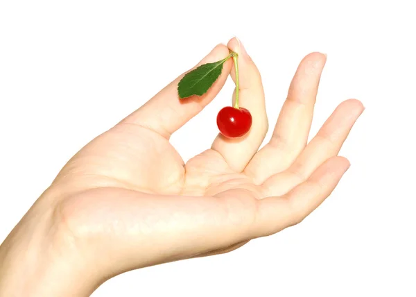 Cherry in hand — Stock Photo, Image