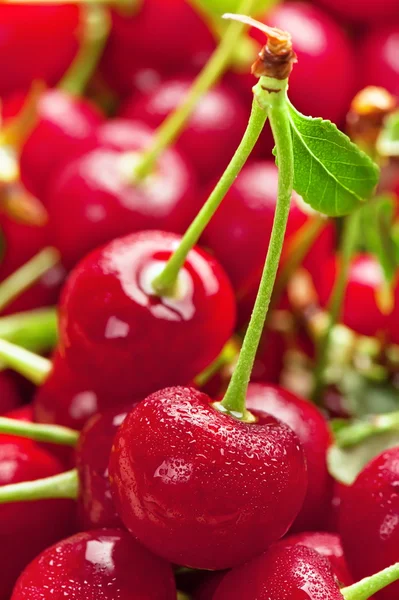 Red cherries — Stock Photo, Image