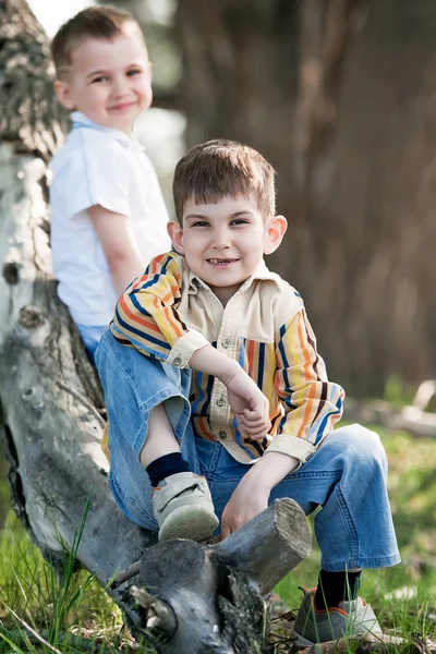 Dois meninos sentados em um galho de árvore — Fotografia de Stock