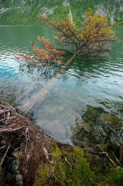 Sjön i molnigt väder — Stockfoto