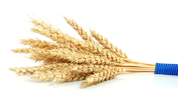 Bundle of Wheat — Stock Photo, Image