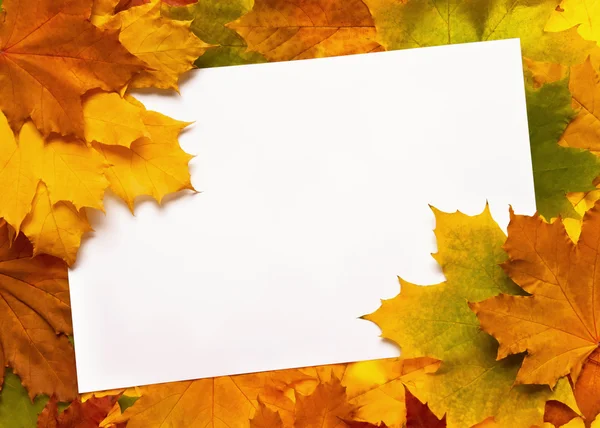 框架从秋天的落叶 — 图库照片