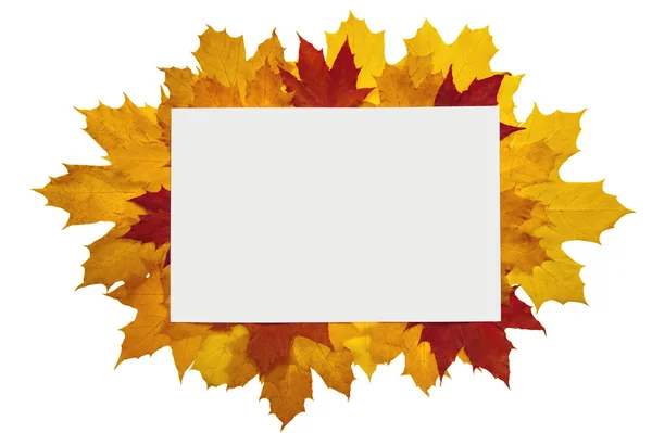 Marco de hojas de otoño —  Fotos de Stock