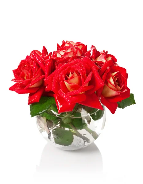 Röda rosor i en vas med vatten — Stockfoto