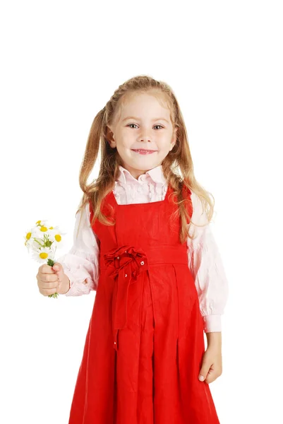 Girl with chamomiles — Stock Photo, Image