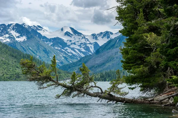 Paesaggio montano — Foto Stock