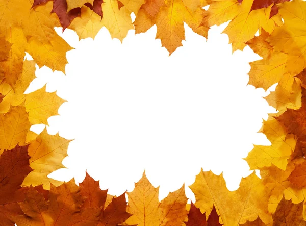 框架从秋天的落叶 — 图库照片