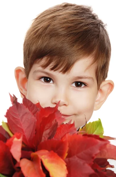 Menino com um buquê de folhas de outono — Fotografia de Stock