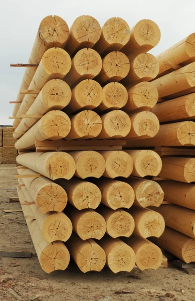 Cylindrical logs — Stock Photo, Image