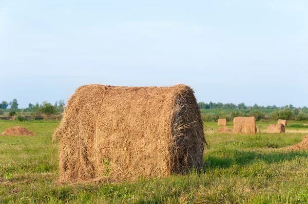 Oblique field — Stock Photo, Image