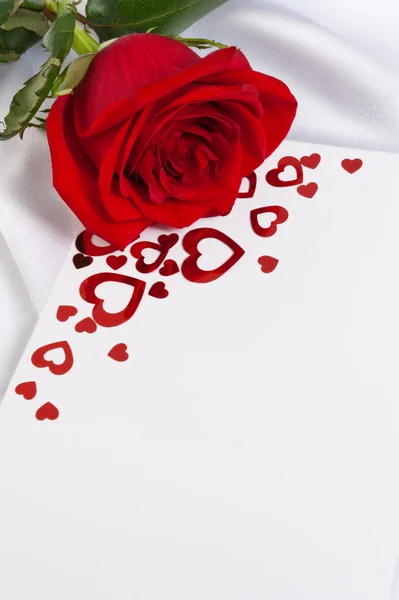 Rudá růže s pozváním — Stock fotografie