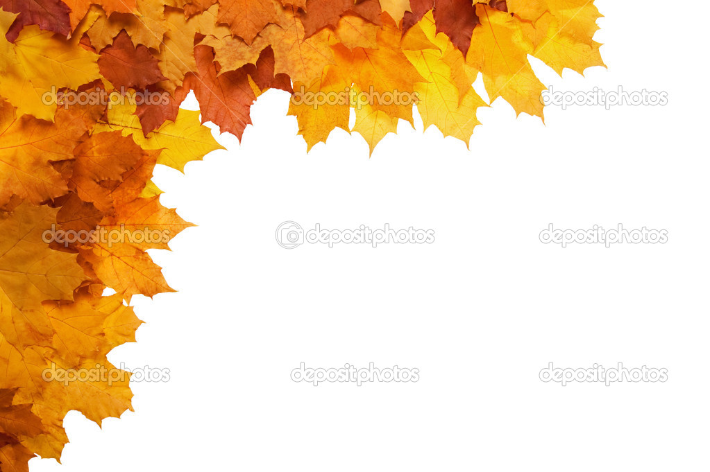 Framework from autumn leaves