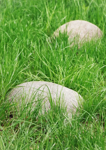 躺在绿色的草地上的石头 — 图库照片