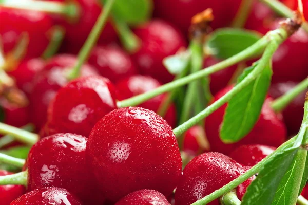 Cerezas rojas —  Fotos de Stock