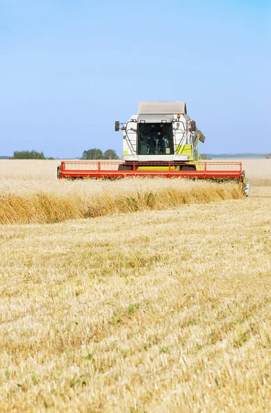 Combinar en el campo — Foto de Stock