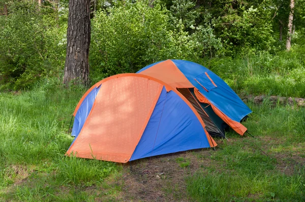 Tent in forest — Stock Photo, Image