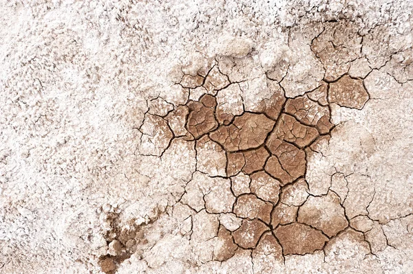 Cracked and barren ground — Stock Photo, Image