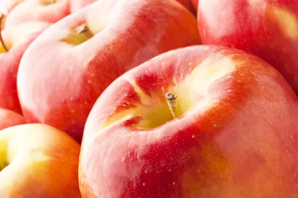 Reife rote Äpfel — Stockfoto