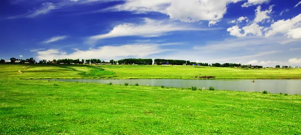 Campo y lago — Foto de Stock