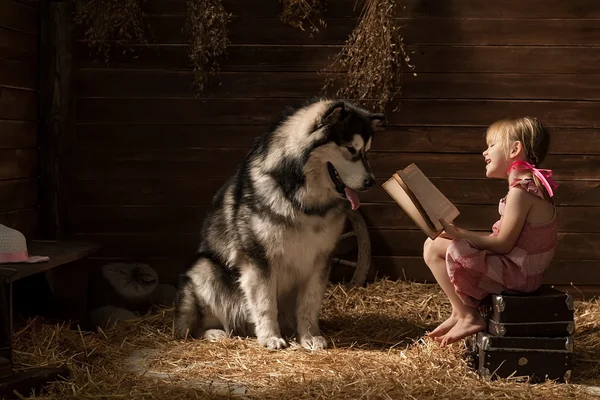 Ragazza e cane — Foto Stock