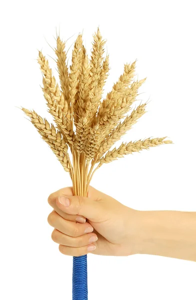 Wheat in hand — Stock Photo, Image