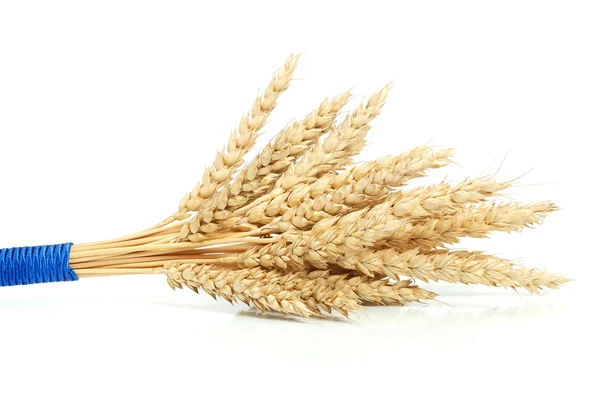 Bundle of Wheat — Stock Photo, Image