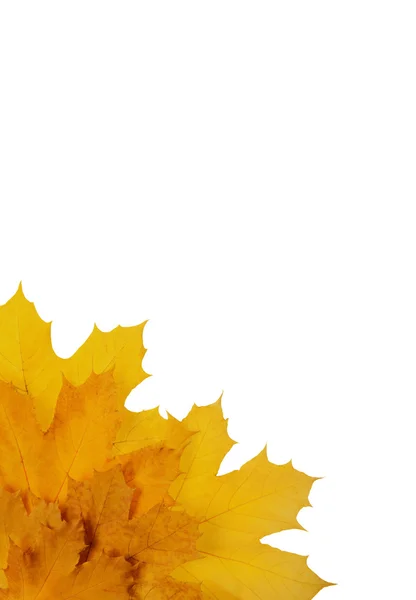 Framework from autumn leaves — Stock Photo, Image