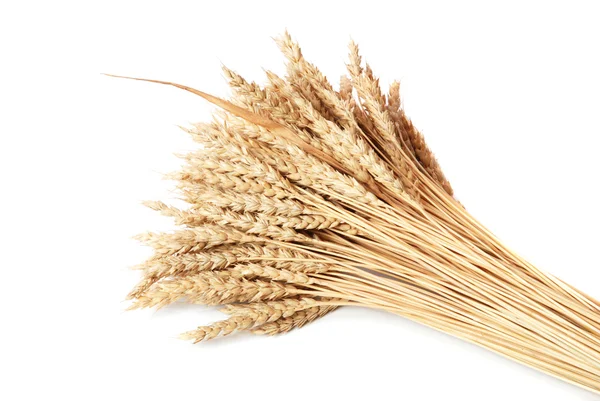 Wheat — Stock Photo, Image