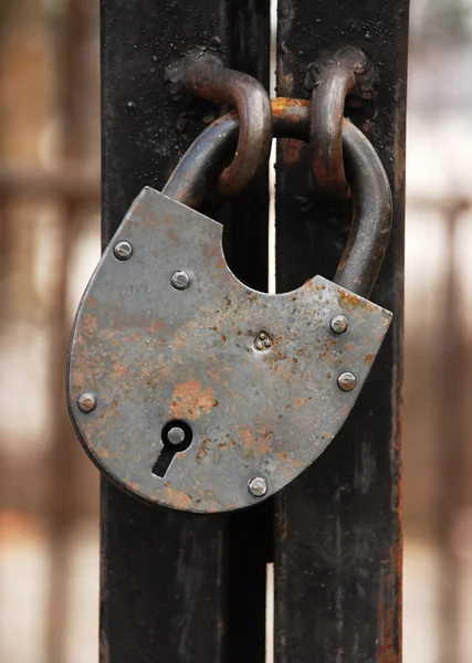 Lock hanging on a fence — Stock Photo, Image