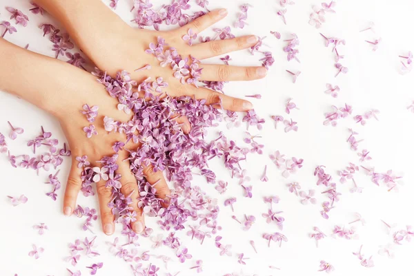 Mãos em flores lilás — Fotografia de Stock