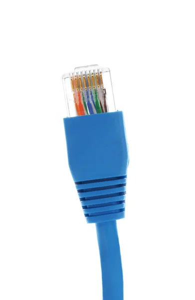 Network cable Stock Image