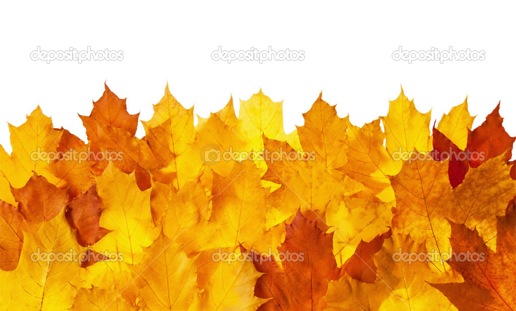 Framework from autumn leaves
