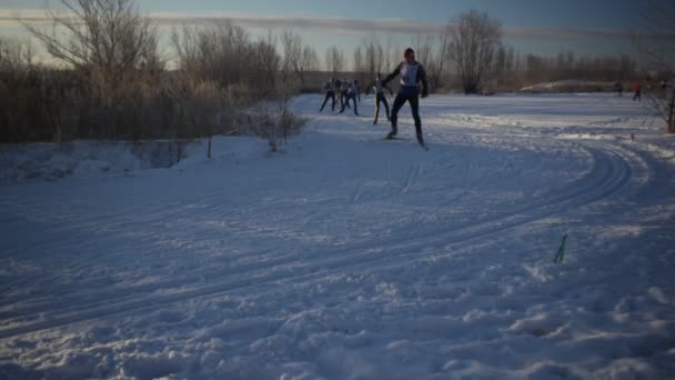 Лыжники — стоковое видео