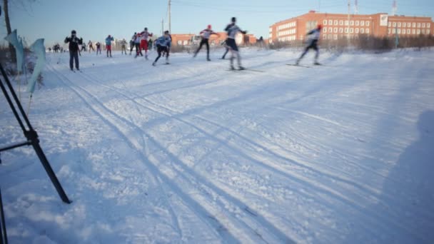 Skiing Championship — Stock Video