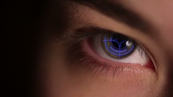 Occhio futuristico con un bersaglio dentro — Video Stock