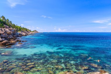 Tropicla adasında kristal berrak suyla güzel bir deniz