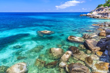 Tropicla adasında kristal berrak suyla güzel bir deniz