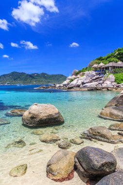 Tropicla adasında kristal berrak suyla güzel bir deniz