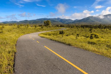 mavi gökyüzünün altında yeşil alanda güzel kırsal yol