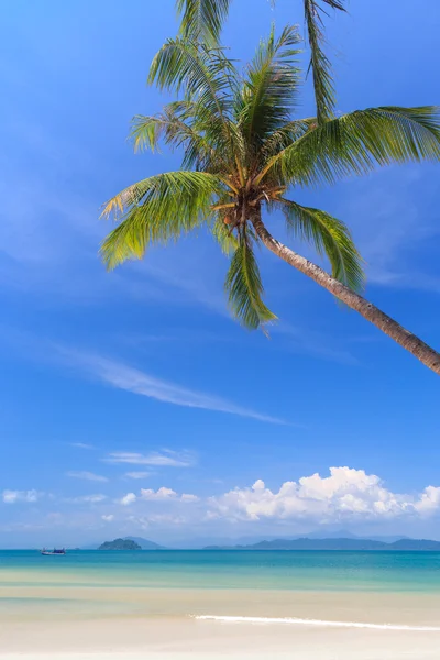 Praia de areia branca na ilha tropical — Fotografia de Stock