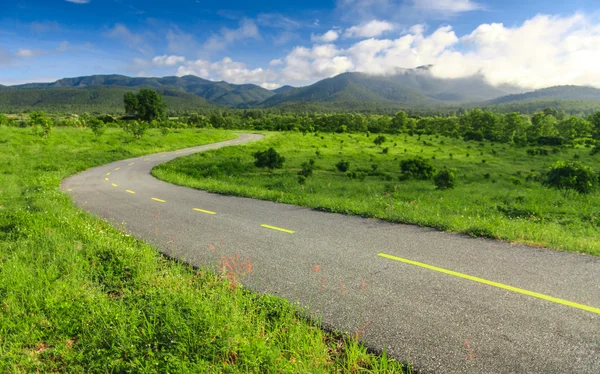 美丽的乡村道路在蓝蓝的天空下 — 图库照片