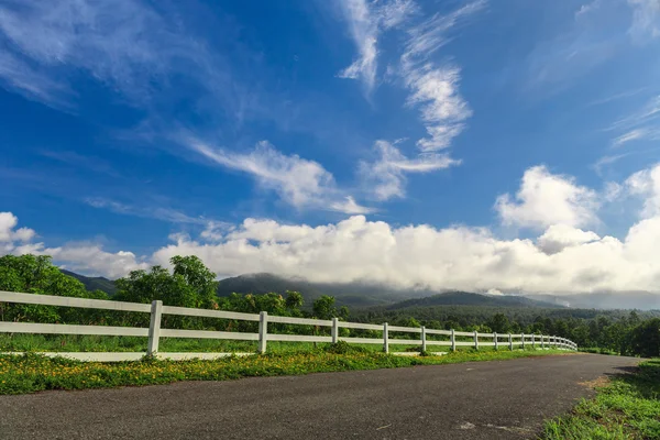 Hermoso camino rural bajo el cielo azul — Foto de Stock