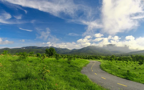 Beautiful countryside road in green field under blue sky — Stock Photo, Image